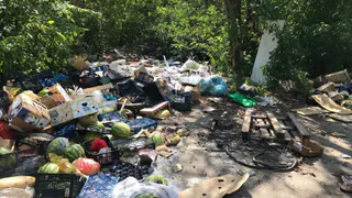 Прокуратура проверит свалку вблизи Солотчинского моста