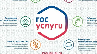 Брянцев просят защитить аккаунты на «Госуслугах»