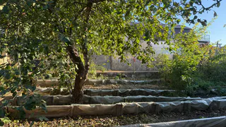 Ошибки на участке, которые незаметно перекрывают благополучие: как все должно быть по фэн-шуй