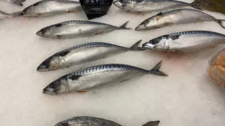 Названа самая полезная рыба - ешьте 2 раза в неделю, богата селеном, фосфором и хороша на вкус