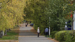 Нижнекамск ждет пасмурное воскресенье