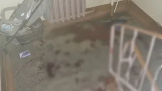 Жители многоквартирного дома во Владимире обнаружили залитый кровью подъезд