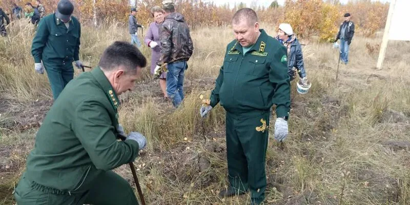В Пензенской области под Лопатино высадили около тысячи саженцев дуба