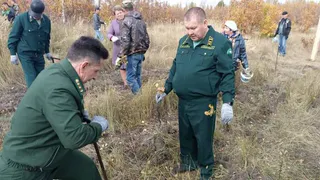 В Пензенской области под Лопатино высадили около тысячи саженцев дуба