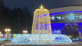 Каждый третий проведет каникулы дома: жители Коми поделились планами на зимние праздники