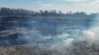 В Чувашии уменьшилось количество ландшафтных пожаров в 2,6 раза