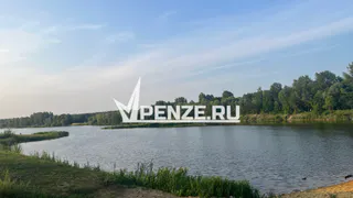 За неделю свыше 50 детей из Пензенской области обратились к врачам с укусами клещей