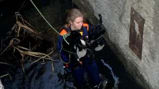 В Рязани спасатели достали упавшую в бетонную траншею собаку