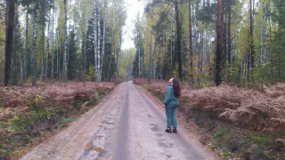 Названа единственная группа крови, которую больше всего обожают клещи