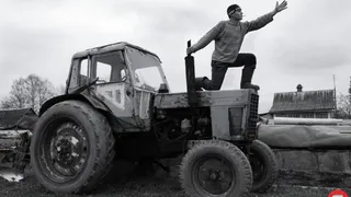 В Брянской области снизились производство сельхозпродукции и урожайность