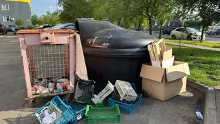 Пензенцы опасаются появления вредителей из-за забитых мусором баков