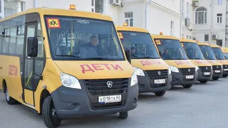 Рязанская область на федеральные деньги закупит 50 школьных автобусов