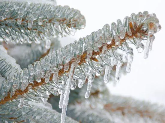 В Сибири даже дожди ледяные