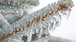 В Сибири даже дожди ледяные