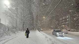На смену морозам в последнюю неделю февраля в Коми приходят метели