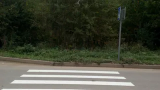 Эффект Pro Города: на Песоченской появился пешеходный переход