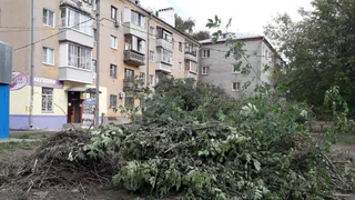 Лежит почти месяц: администрация вывезет мусор с улицы Пушкина на следующей неделе