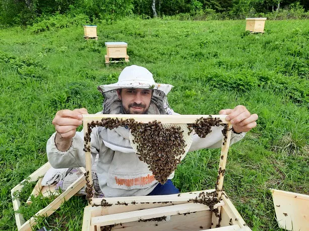 На самой северной пасеке в Коми супруги собрали два центнера меда