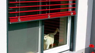 Приметы и запреты на 24 августа: плотно закрываем окна и двери