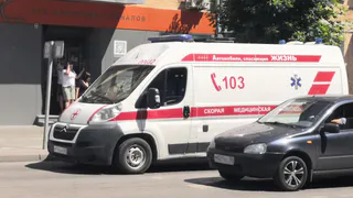 На трассе в Александро-Невском районе произошло смертельное ДТП с двумя фурами