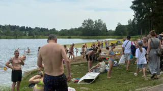 «Им не единый стиль нужен»: рязанцы раскритиковали планы оформить пляжи по новой концепции