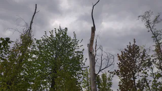 Оперативный штаб в поселке Лесной открыл еще один телефон для связи с жителями