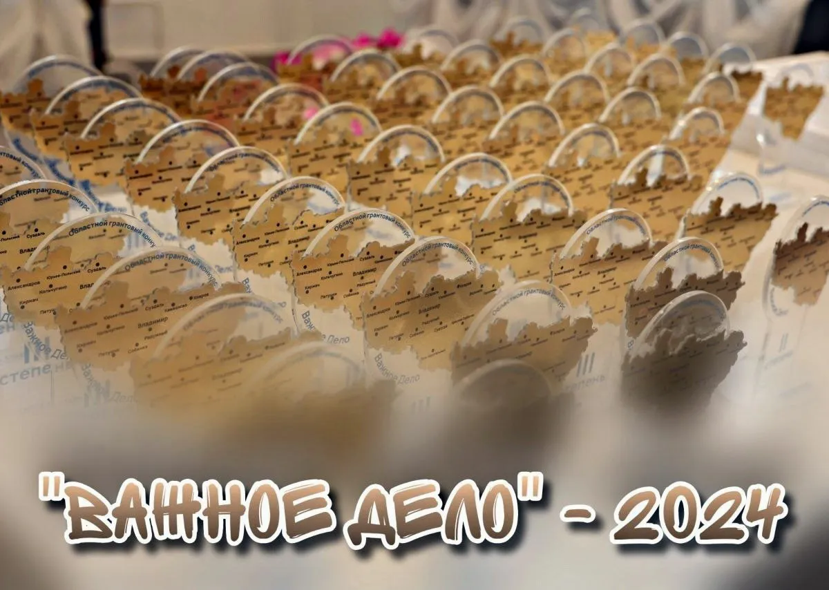 Владимирская молодежь может реализовать свое «Важное дело»