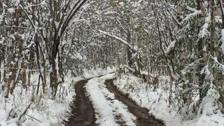 Жителям Рязанской области спрогнозировали температурные качели 8 марта