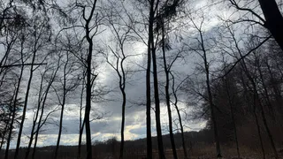 В Рязанской области оштрафовали 14 охотников