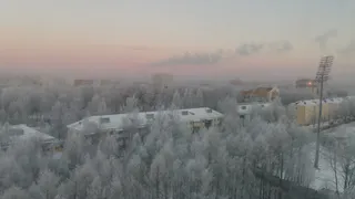 В Коми перевыполнили план по лесовосстановлению