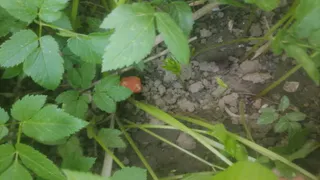 Во Владимире завершили расследование дела о крупной наркосети с 133 закладками