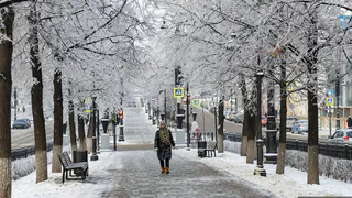 8 февраля в Рязанской области ожидается гололедица и до -23 градусов мороза