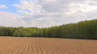 В Рязани сократят должность министра сельского хозяйства