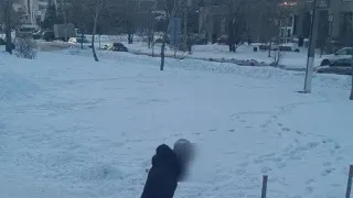 Пополз за любимой на четвереньках: посетителя кафе в Магнитогорске сумела увести только супруга