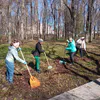 Субботник в Пензенской области объединил 65 тысяч человек