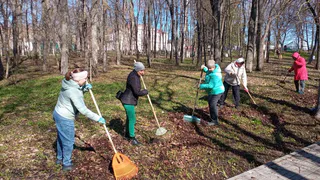 Субботник в Пензенской области объединил 65 тысяч человек