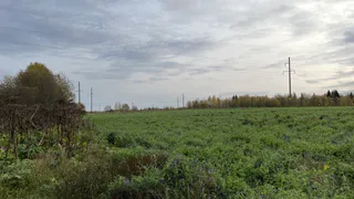 Деревня Тиуши в Чувашии оказалась в изоляции из-за бездорожья: Глава СК Бастрыкин поручил провести проверку