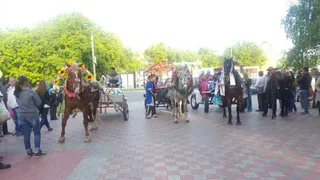 По улицам Нижнекамска проедут тарантасы