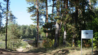 В Рязанской области приведут в порядок участок дороги к Окскому заповеднику