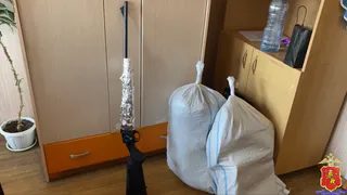 В Ковровском районе мужчину подозревают в браконьерстве после отстрела двух лосей