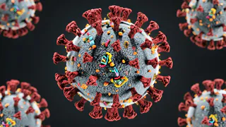 Новый коронавирусный штамм «Стратус» выявлен в Татарстане