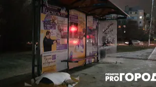 Спустя полгода: как дирекция благоустройства города устранила последствия выходки вандала