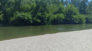 К 1 июня пляж на Ореховом озере в Рязани приведут в порядок