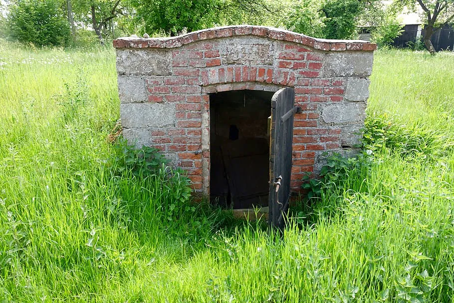 Как справиться с избыточной влажностью в погребе: простые советы для дачников