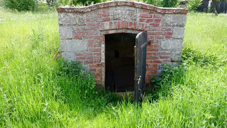 Как справиться с избыточной влажностью в погребе: простые советы для дачников