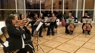 Во Владимире торжественно открылся областной академический театр драмы