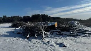 В Селивановском районе разрослись несанкционированные свалки, загрязняющие почву