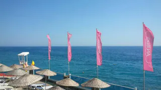 Рязанский турагент: "Туристический бизнес сейчас на нуле"