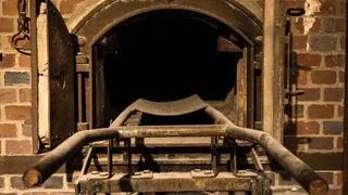 Мэрия Рязани ответила на просьбы горожан построить крематорий