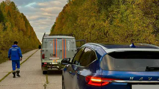 В Коми спасатели за выходные вывели из леса девятерых грибников